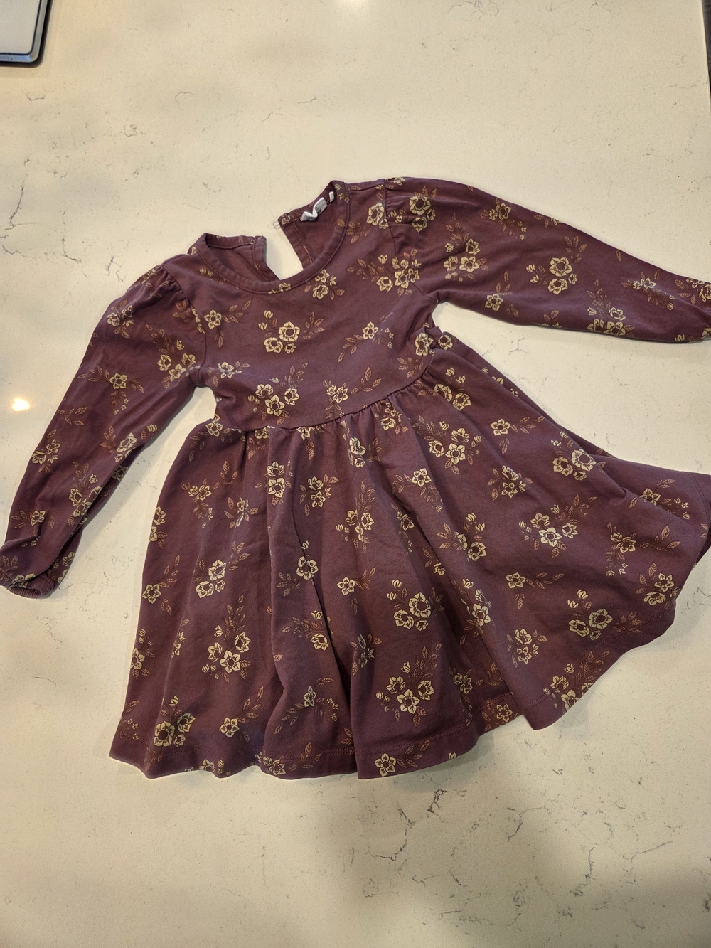 Little Girls' Mauve Floral Long-Sleeve Twirl Dress